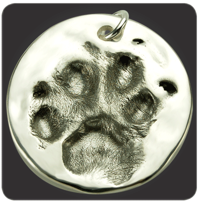 Cat Paw Print